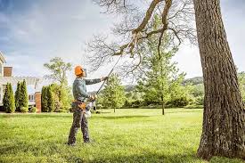 Best Tree Maintenance Programs  in West Whittier Los Nietos, CA